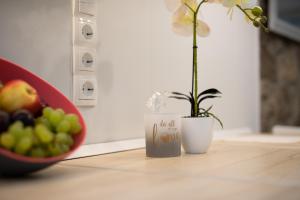 Apartment GAVIOTA Krk 