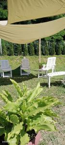 Fruškogorski apartmani