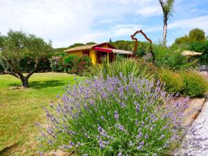 B&B / Chambres d'hotes Chambre d'hotes & SPA Mas Dels Esquirols : photos des chambres