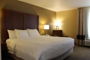 King Room - Non-Smoking room in Comfort Inn Green Valley I-19