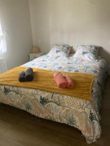 Maisons de vacances Petite maison ensoleillee a 10 minutes du port de Vannes : photos des chambres