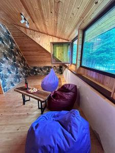 WoodStarტყის ვარსკვლავი