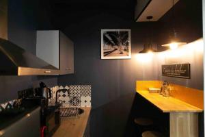 Appartements Loft de Courcaille - Balneo - Free Parking - WIFI : Appartement 1 Chambre