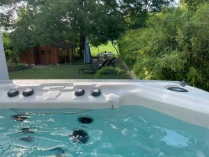 Appartement bien-être avec jardin, jacuzzi, sauna & massage entre Bourges et Sancerre