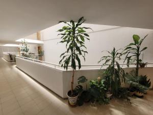 Alojamiento ENTERO en Madrid, con ACCESO PRIVADO