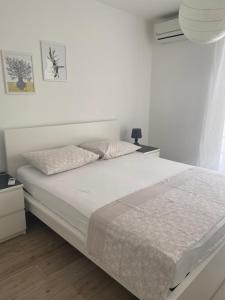 Apartmani Igor