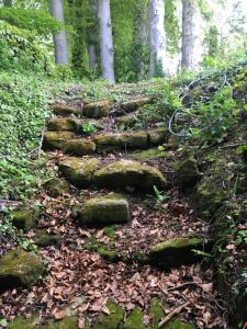 Maisons de vacances Le Clos du Val a Loup : photos des chambres