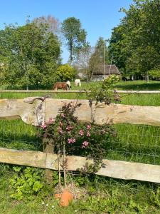 Maisons de vacances Le Clos du Val a Loup : photos des chambres