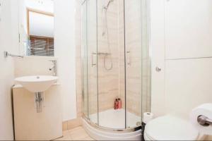 Central London Apartment