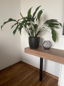 See- und Bergblick Oberteuringen 59