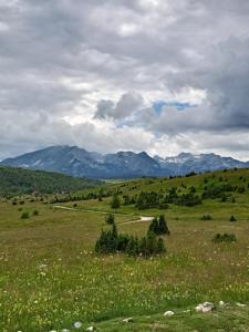 Mountain Soul Rest