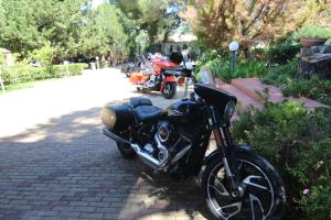 VILLASEASICILY , POOL SALT WATER and NATURAL CHLORINE IN BALESTRATE - PALERMO