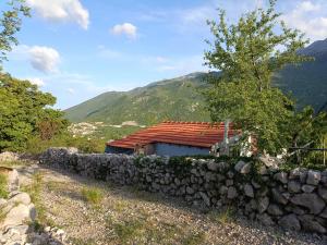 Robinson Haus PanoramA No Electricity