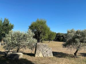 Maisons de vacances Gordes : maison avec vue : photos des chambres