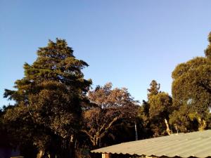 Chalé alpino em canela rs todo mobiliado com cozinha lareira split Wi-Fi 2 quartos perto do centro