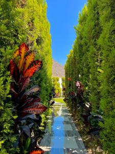 Hotel Magdalena Campestre