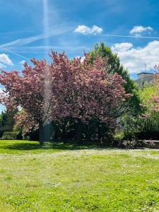 Appartements Studio situe a 5 min du chateau de Versailles en bus et stationnement gratuit : photos des chambres