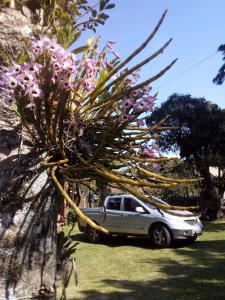 Alpes dos anjos Canela rs chalé luxo Wi-Fi SPLIT COZINHA perto do centro
