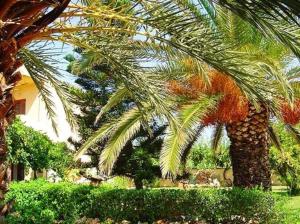 Dimitra Apartments Lasithi Greece
