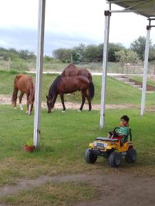 Casa Quincho Pileta Estadio Unico Froilan