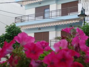 Antique The Hotel Pieria Greece