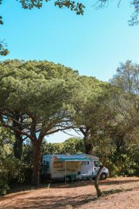 Campings Camping Ladouceur : photos des chambres