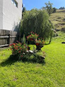 Casa Anastasia - Moieciu de Sus