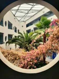 Studio Calypso - Les Minimes