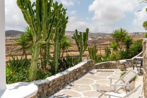 Afroditi Ftelia Anemone