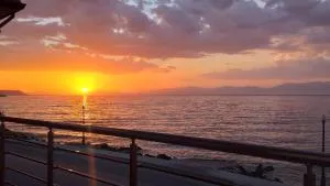 The Sound of the Sea - Rozená