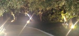 STUDIOS KOULA 2-DIMOS