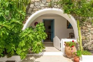 Afroditi Ftelia Gerani A - Ftelia