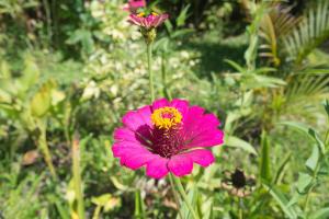 Holiday rental in Sumatra