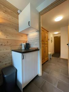 Appartements Les Gentianes A14 : photos des chambres