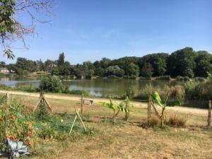 Maison face à létang