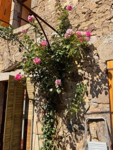 Maisons de vacances La Forge, Chirols, Ardeche : photos des chambres