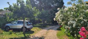 Maisons de vacances L'Olivier Chez Mame Marthe : photos des chambres