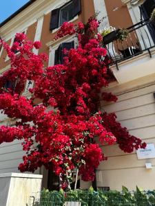 Mariviva Guest House