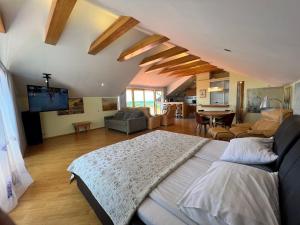 Nida Penthouse Studio