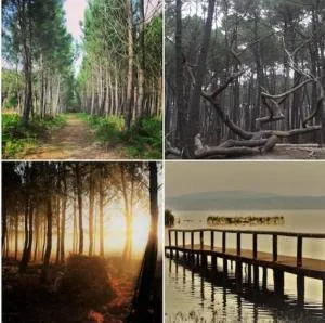 Gîte chez Kaky - 莫桑克斯