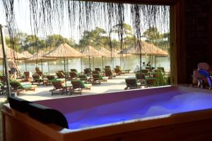 Green Pine Bungalows & Beach Luxury Concept