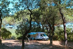Campings Camping Ladouceur : photos des chambres