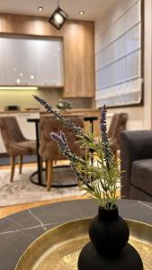 VILA LUNA-Apartman 1