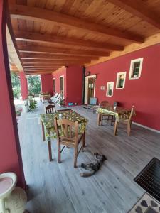 B&B Su Frascu Segau img7