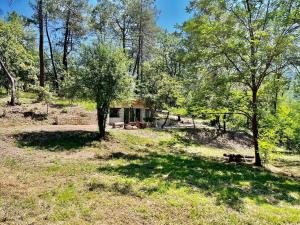 Chalets Le doux refuge : photos des chambres