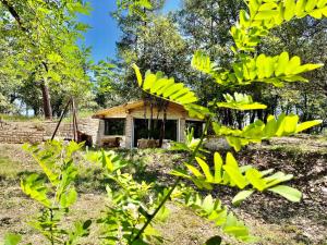 Chalets Le doux refuge : photos des chambres