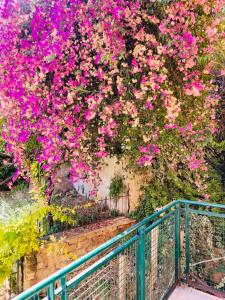 Vatican Inside House