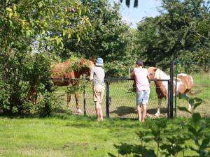 Maisons de vacances Gite Benamenil, 5 pieces, 6 personnes - FR-1-584-4 : photos des chambres