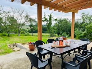 Maisons de vacances Gite l’Occitanette : photos des chambres