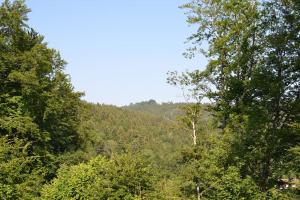 AlpenGlück – **** Ferienwohnung